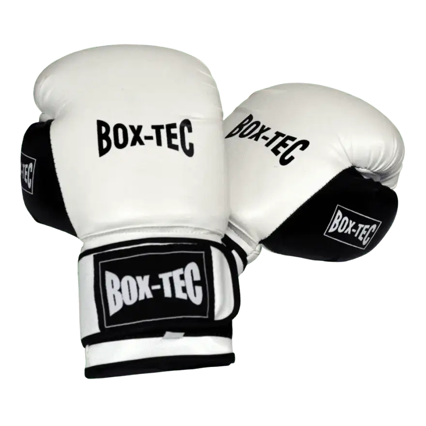 Boxhandschuhe Light PU