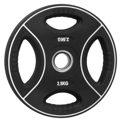 2,5 kg Hantelscheibe mit Griffen für Fitness und Krafttraining, ideal für Homegym und Studio