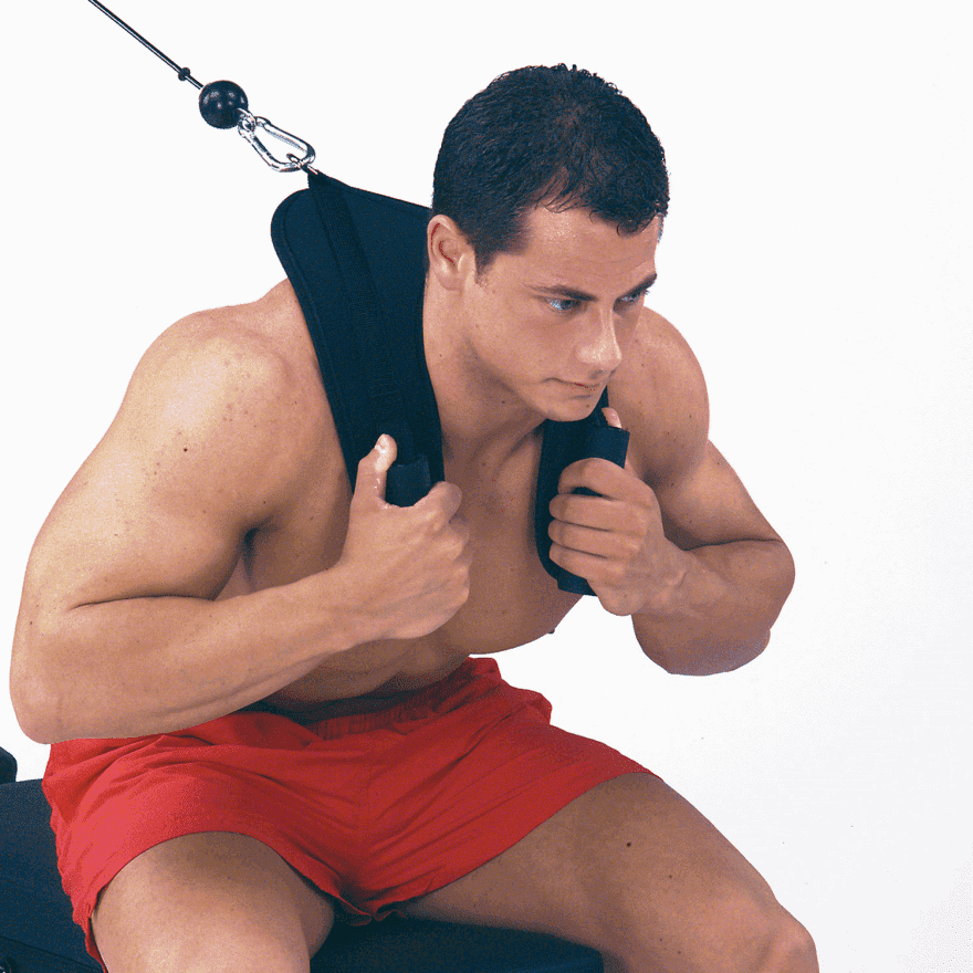 Body-Solid Bauchmuskel-Harness für Kabelzug-Crunches ACH-18 – Ansicht 2