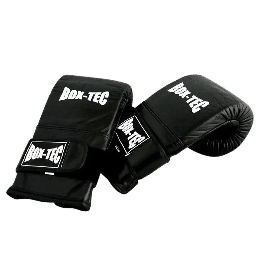 Boxsackhandschuhe BSH Leder