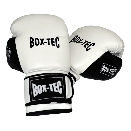Boxhandschuhe Light PU