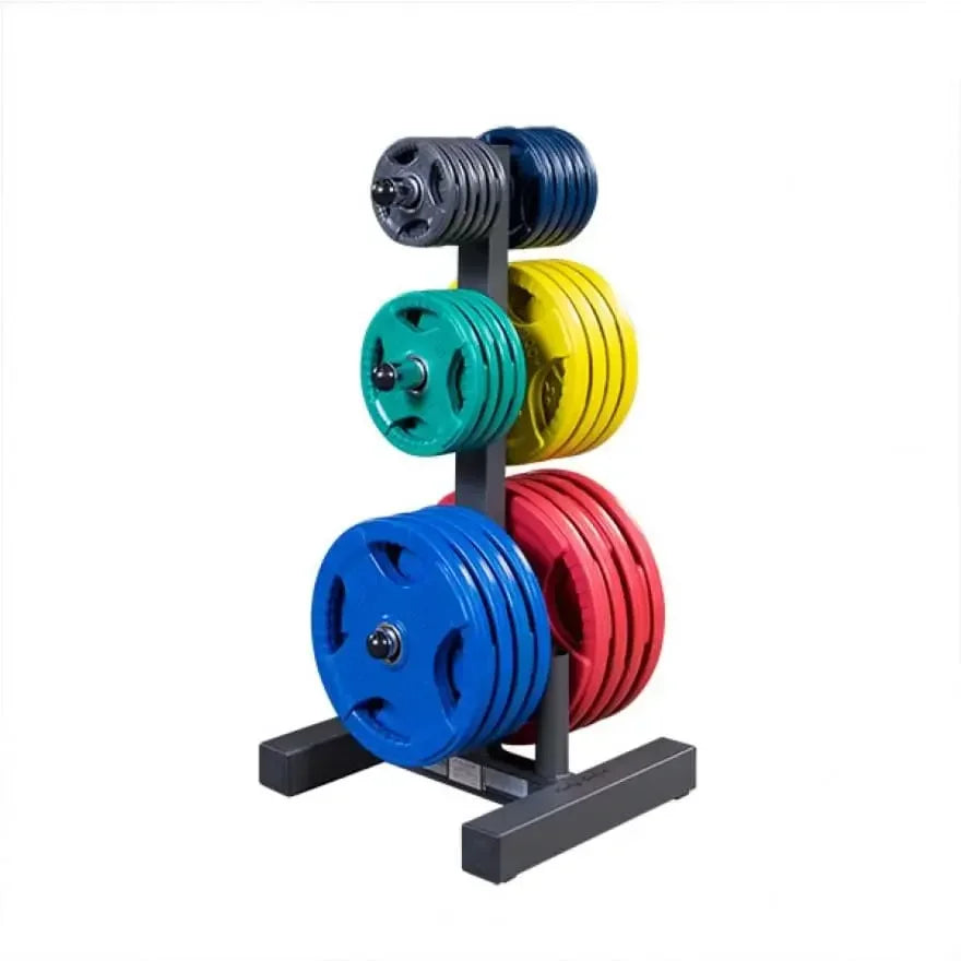 Farbige Hantelscheiben auf Ständer für Homegym & Fitnessstudio, ideal für Krafttraining und Gewichtheben