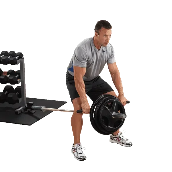 Mann trainiert mit Langhantel und Gewichten im Homegym, Kraftsport & Fitness Equipment
