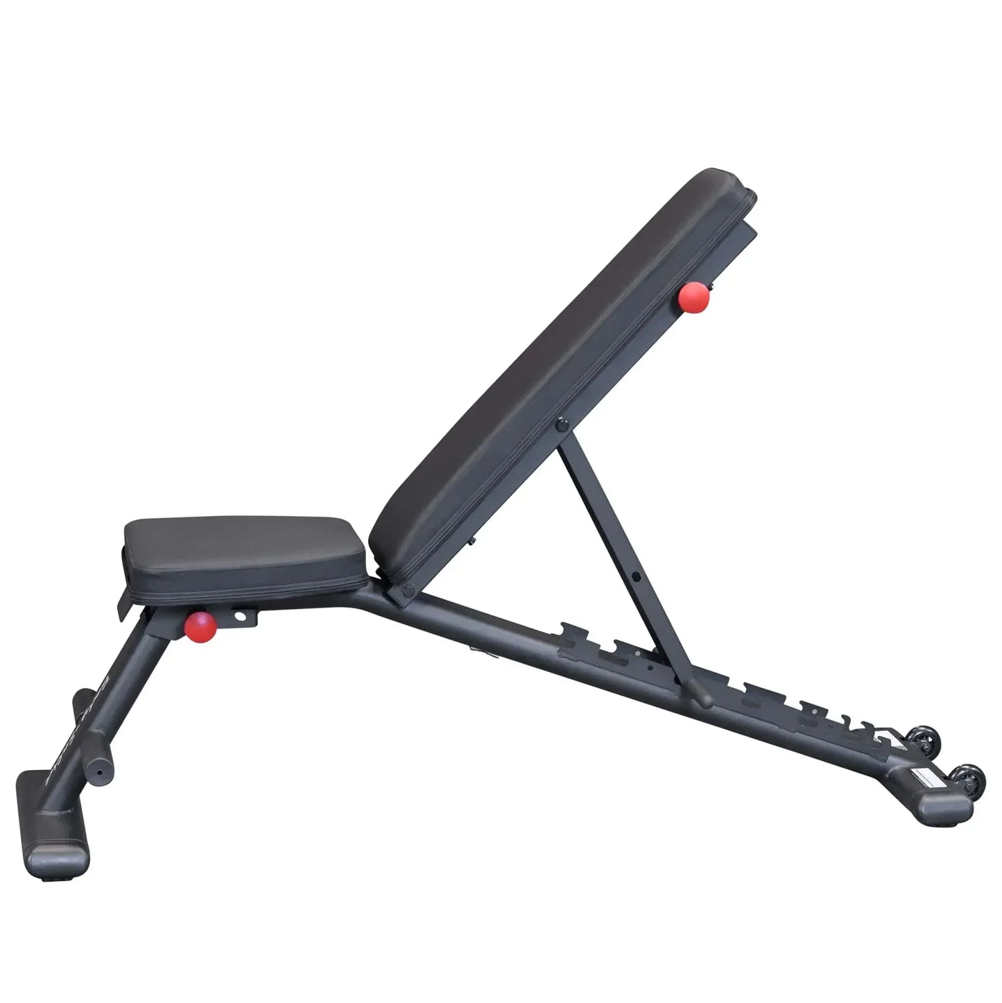 Schwarze verstellbare Hantelbank mit roten Knöpfen für Homegym & Studio-Training