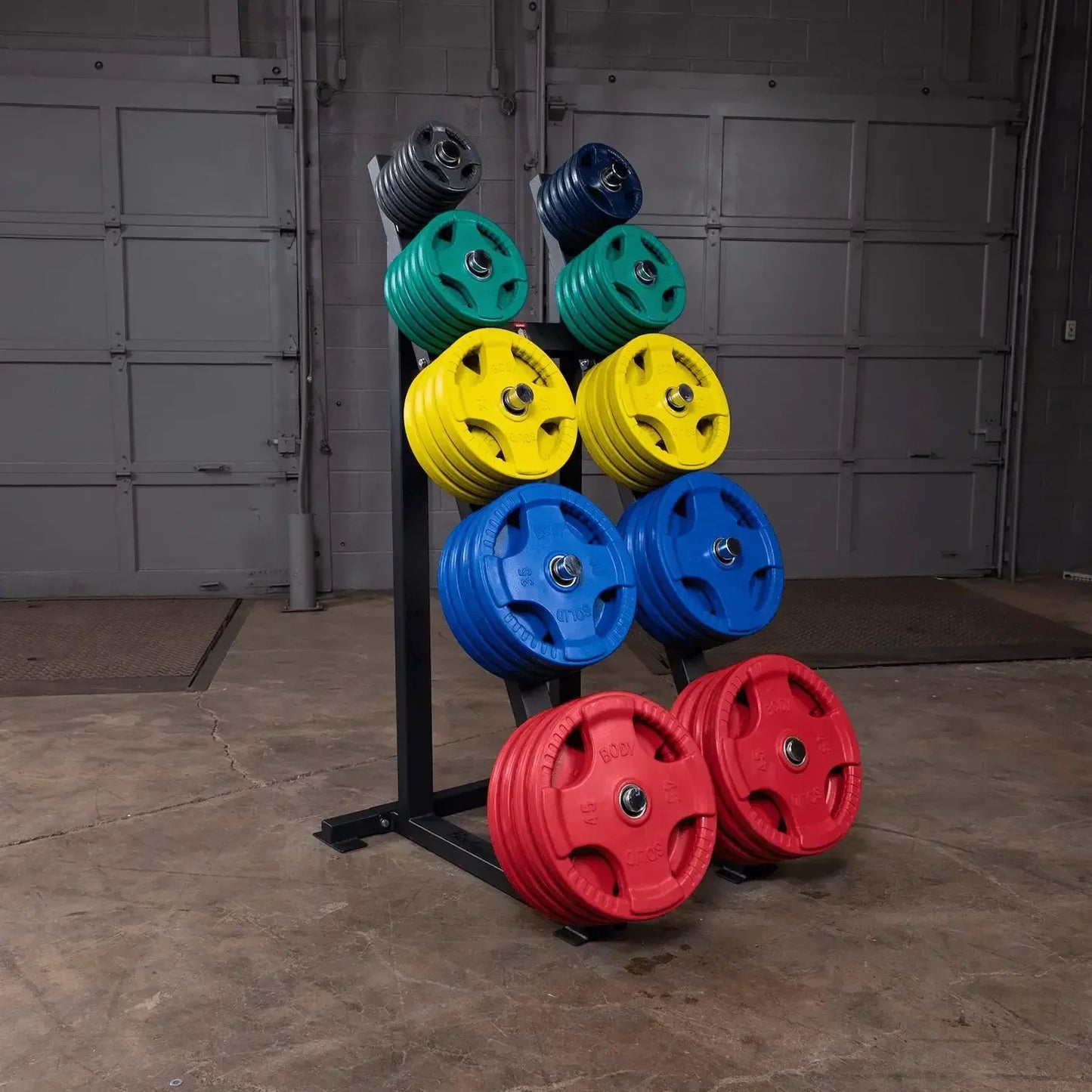 Farbige Hantelscheiben auf Rack im Fitnessstudio – ideal für Krafttraining & Homegym