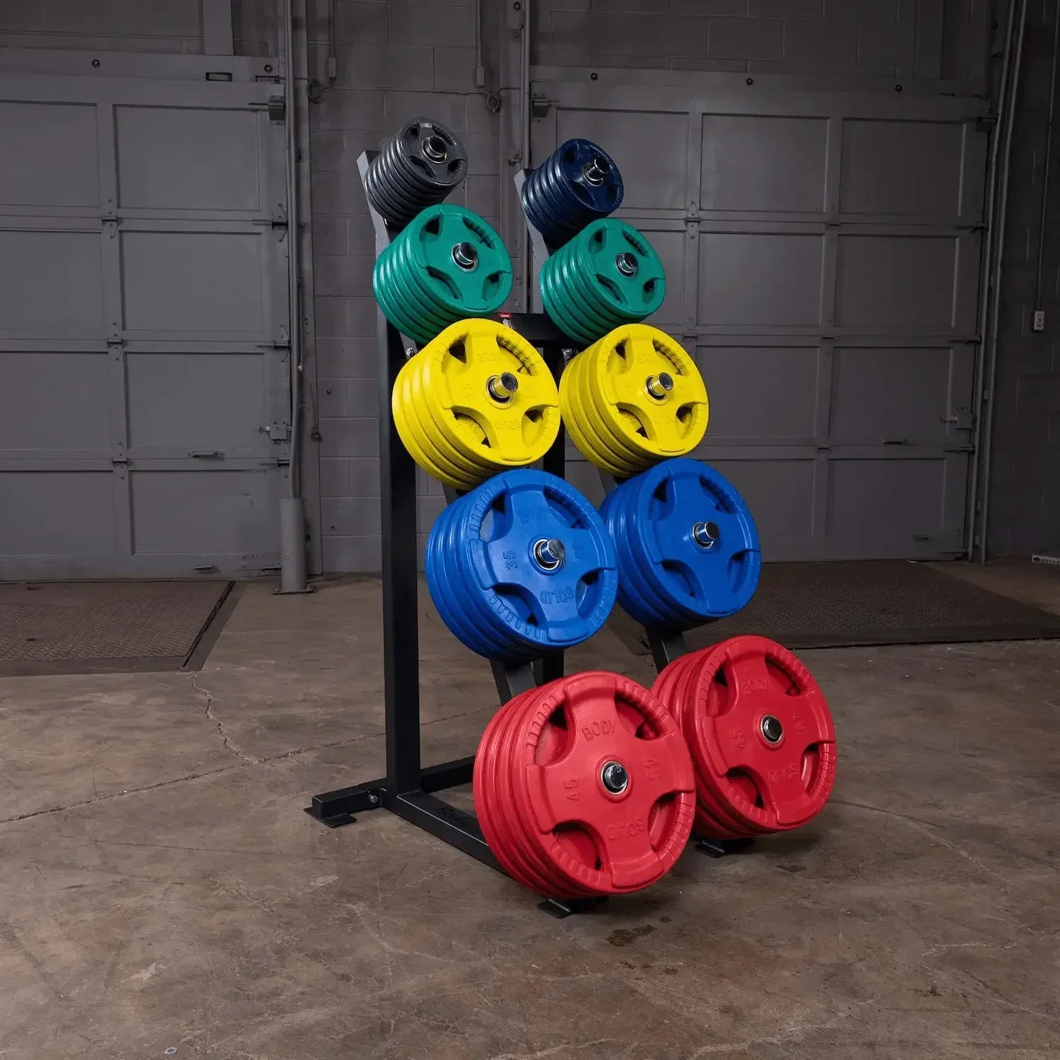 Farbige Hantelscheiben auf Rack im Fitnessstudio – ideal für Krafttraining & Homegym