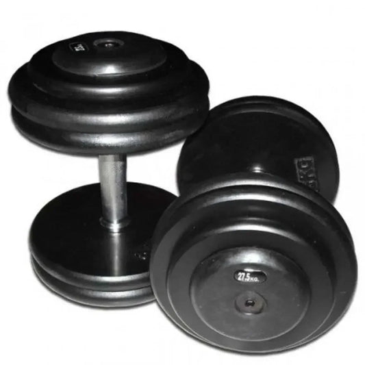27,5 kg Hanteln für Krafttraining – robuste Fitness-Hanteln für Homegym & Studio